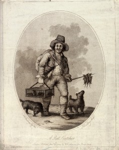 V0020299 A rat-catcher (accompanied by two dogs) carrying a cage of l